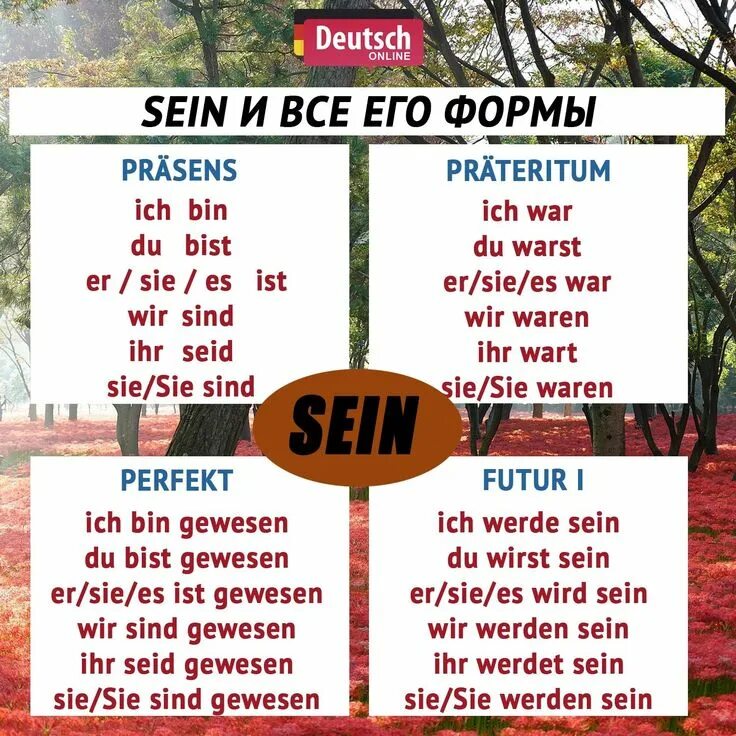 Ихь бин. Немецкий язык ich bin du bist. Ist bist немецкий. Ich bin du bist er sie es ist таблица. Ich bin du bist таблица.