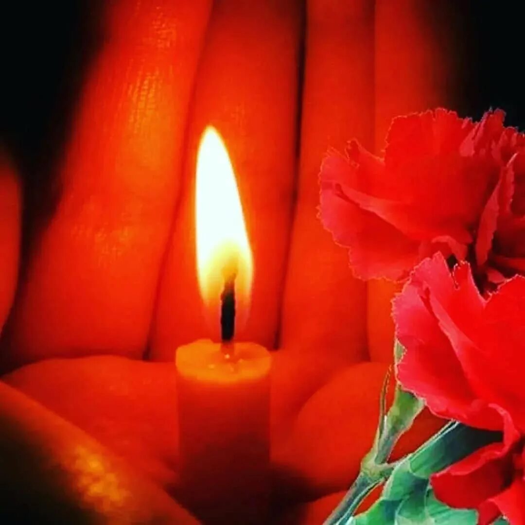 Нина шепитько. Соболезную светлая память. Светлая память и вечный. Помним и любим вечная память. Помним любим кортавим,.