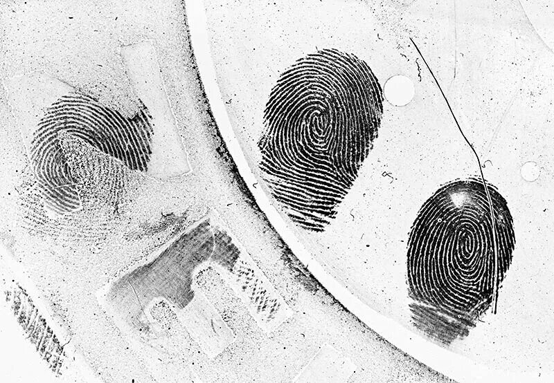 дактилоскопия отпечатки. дактилоскопия экспертиза. дактилоскопия экспертиза. дактилоскопический отпечаток пальца. дактилоскопия криминалистика.