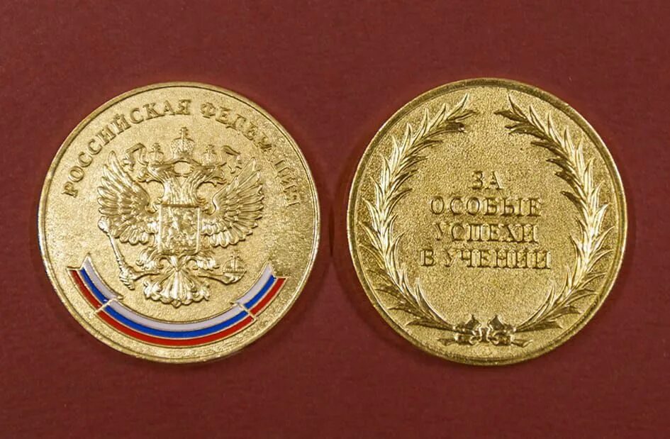 за особые успехи в учении 2024