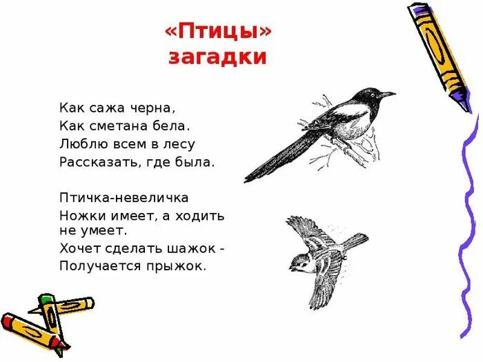 Загадки про птиц для дошкольников 4-5 лет. Загадка про птицу для детей 6-7 лет. Загадки для детей про птиц с ответами для 5 лет. Загадки про птиц для детей 4-5 лет с ответами.