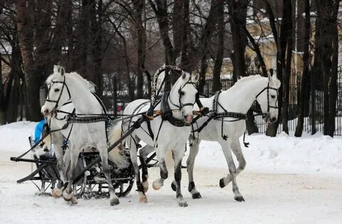 Тройка королев