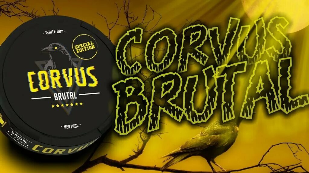 Корвус желтый. Corvus light шайба. Корвус логан. Корвус желтый. Корвус логан.