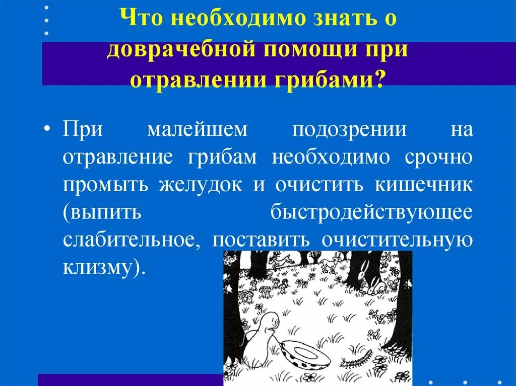 1 помощь при отравлении грибами. При отравлении грибами необходимо. отравление грибами доврачебная помощь. первая помощь при отравлении грибами с человеком. пмп при отравлении грибами и ядовитыми растениями.