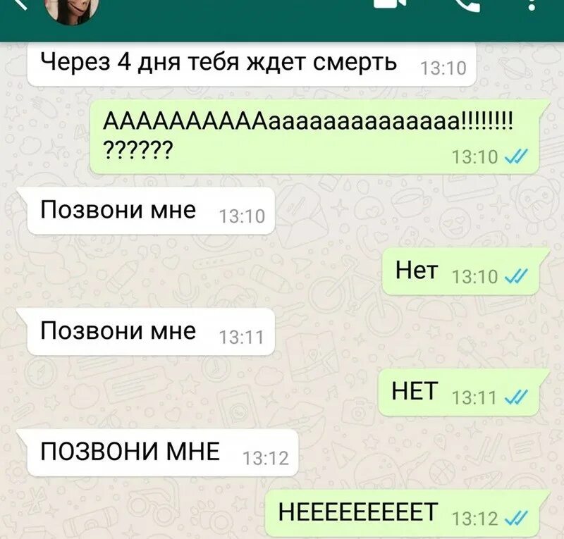 Не для тебя моя роза цвела прикол. Только по делу. Мемные переписки в ватсапе. Приколы картинки с надписями. О том какой у нее зад ватсап.