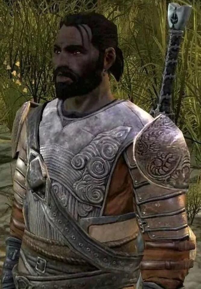 Дункан dragon age. Дункан dragon age. Дункан dragon age. Дункан серый страж. Король кайлан тейрин.