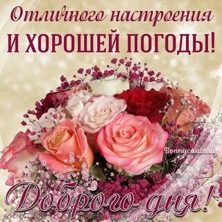 Открытки доброго дня с розами