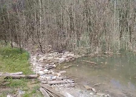 Оттер гродно