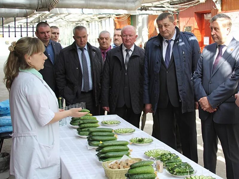 Александров отзывы брянск. СПК Агрофирма культура Добрунь. СПК культура Брянск. Агрофирма культура Брянская область. Агрофирма культура Брянск директор.