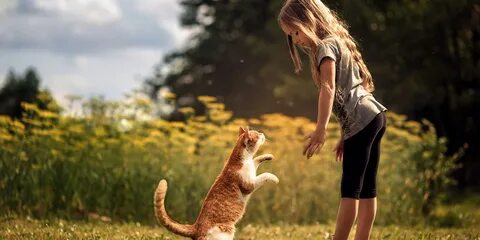Девочки девченки мы для них котенки