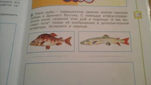 Определите к традиционным занятиям