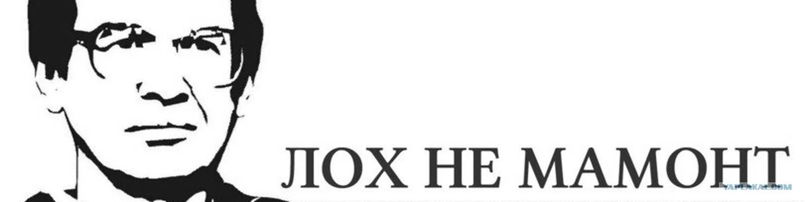 Лох цитата. Лох не мамонт. не лох. без лоха и жизнь плоха. лох не мамонт он не вымрет.