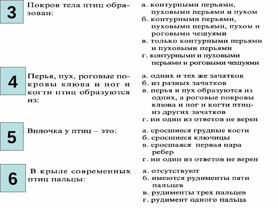 Тест по теме класс птицы ответы. Тест по птицам. Тест по теме птицы. Контрольная работа по теме птицы. Класс птицы тест.