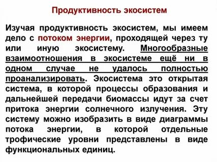 Чистая первичная продукция