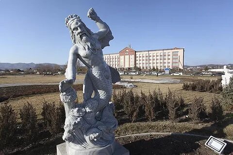 Находка выбирает