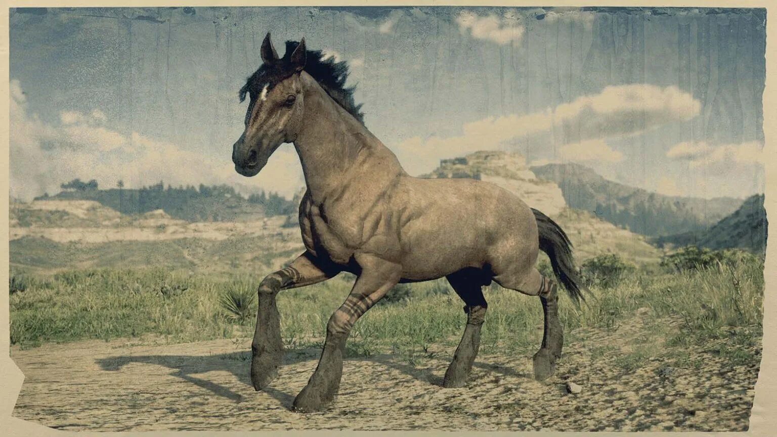 Найти лошадь рдр 2. Зеброидный гнедой мустанг. red dead redemption 2 ахалтекинская лошадь. red dead redemption 2 тигровый мустанг. rdr2 мустанг особый.