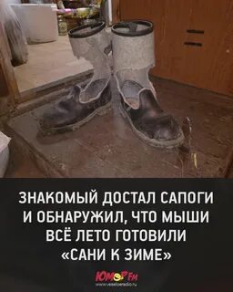 Сапог ищет сапога