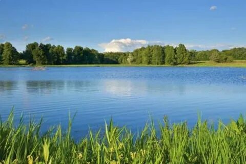 12 водоемов