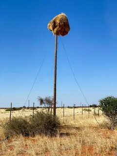Other africa