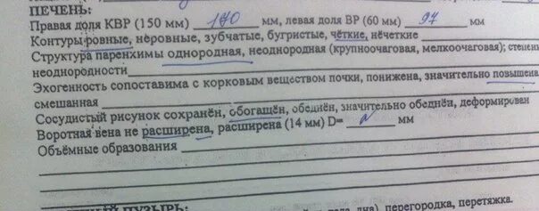 Размеры печени у женщины 60 лет. Показатели УЗИ печени норма. Показатели УЗИ печени норма у взрослых. Размеры печени на УЗИ норма. Размеры печени в норме у взрослых.