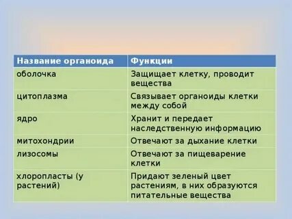 Какой органоид встречается клеток всех живых организмов