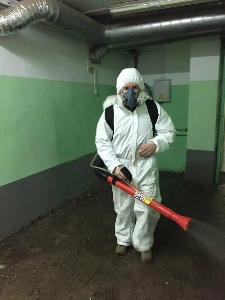 дезинфекция. дезинфекция. центр дезинфекции якутск. дезинсекция помещений. дезинфекция помещений.