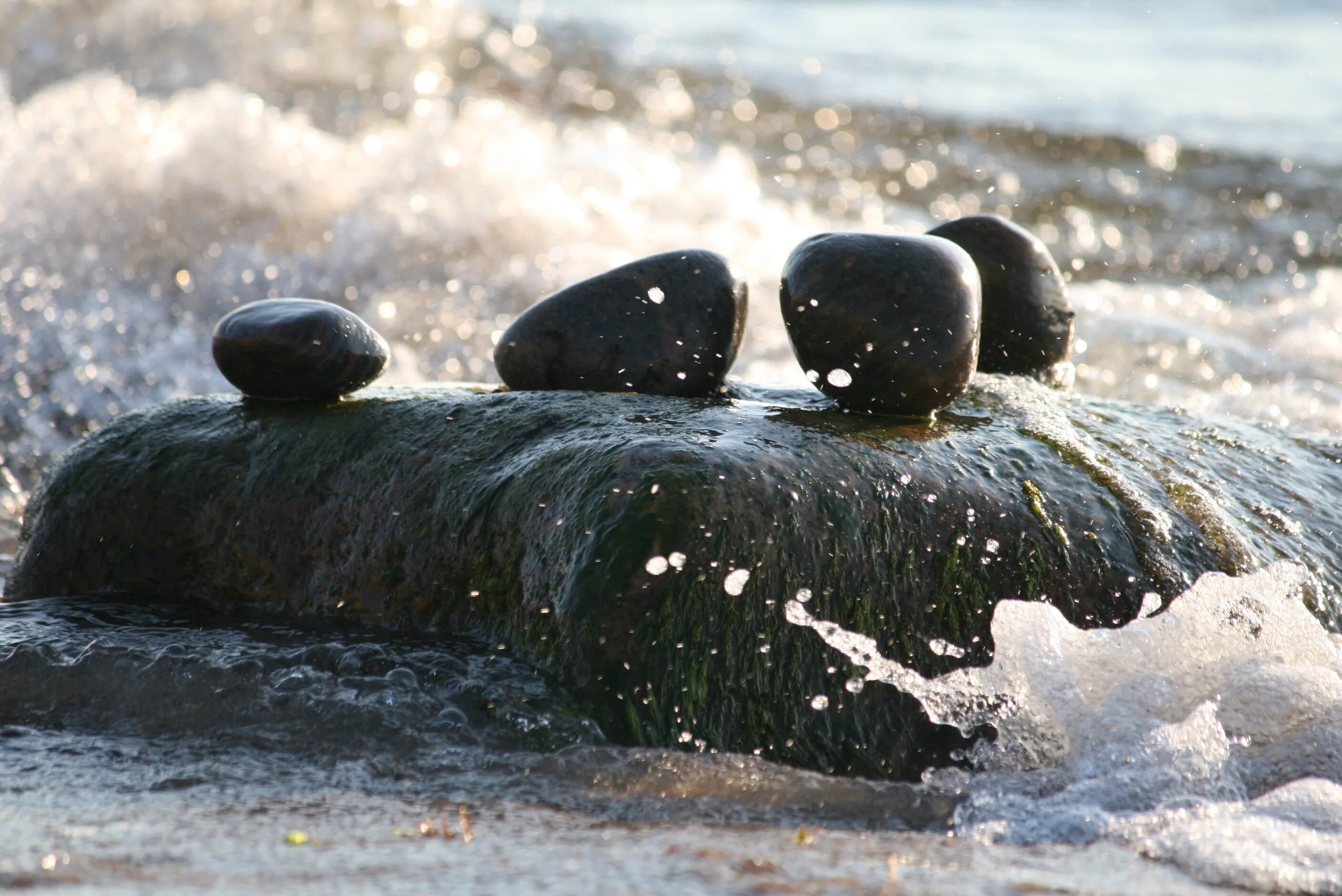 Камни вода бассейн. Лежачий камень. Камни в воде. Мокрый камень. Море точит камни.