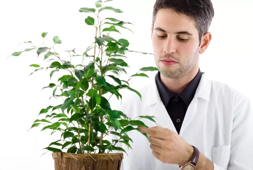 Ботаник ученый. Ученые с растениями. Биолог ботаник. Ученые экологи. Plant scientist