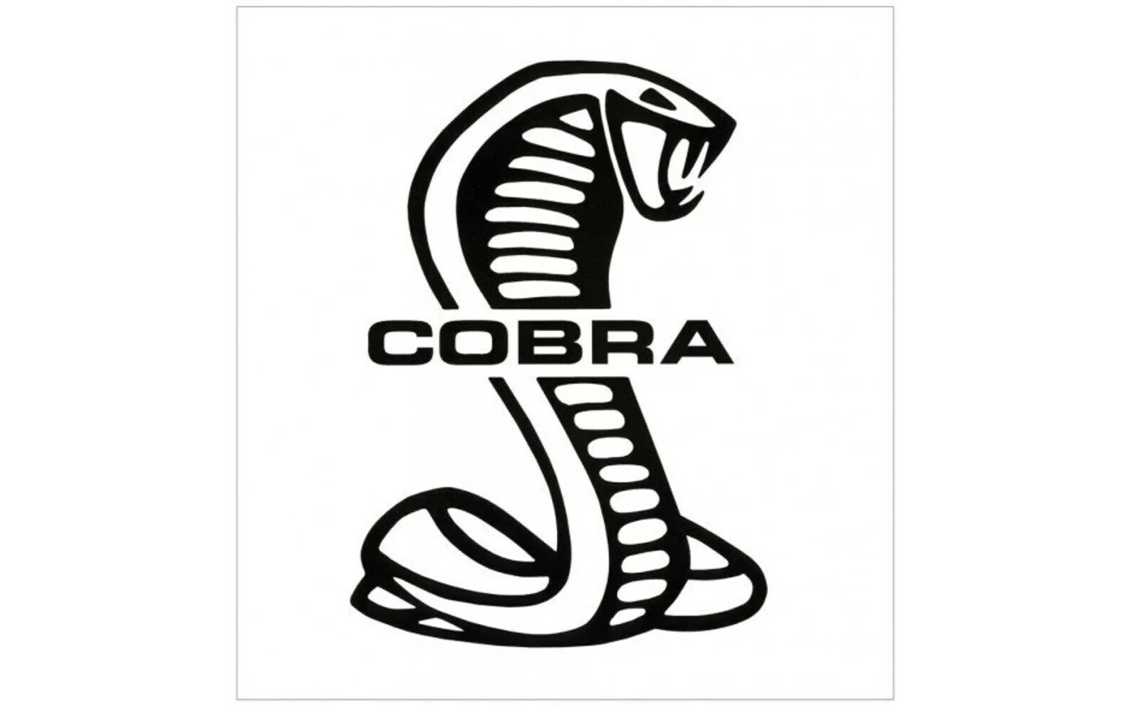 Cobra iso. Нашивка «Cobra Ford Shelby». Надпись Кобра. Cobra логотип. Логотип кобры для клана.