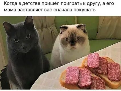 Сначала поем