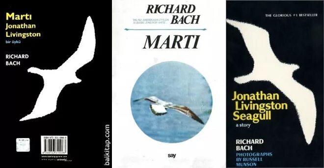 Чайка бах содержание. Jonathan livingston seagull. чайка джонатан ливингстон краткое содержание. чайка краткое содержание.