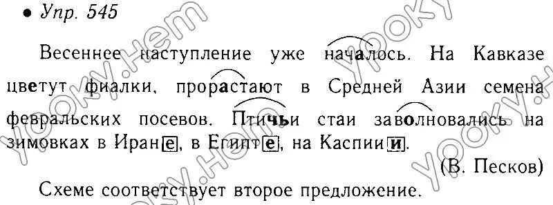 Русский язык страница 71 упр 5. Русский язык 5 класс упражнение 545. Русский язык 5 класс Автор ладыженская упражнение 545. Русский язык 6 класс 2 часть номер 545.