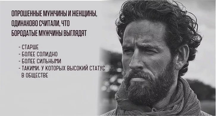 Выражение борода. Высказывания о мужских стрижках. цитаты про бородатых мужчин. цитаты про бороду. высказывания о мужчинах.
