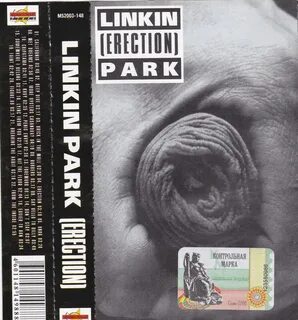 Linkin park erection