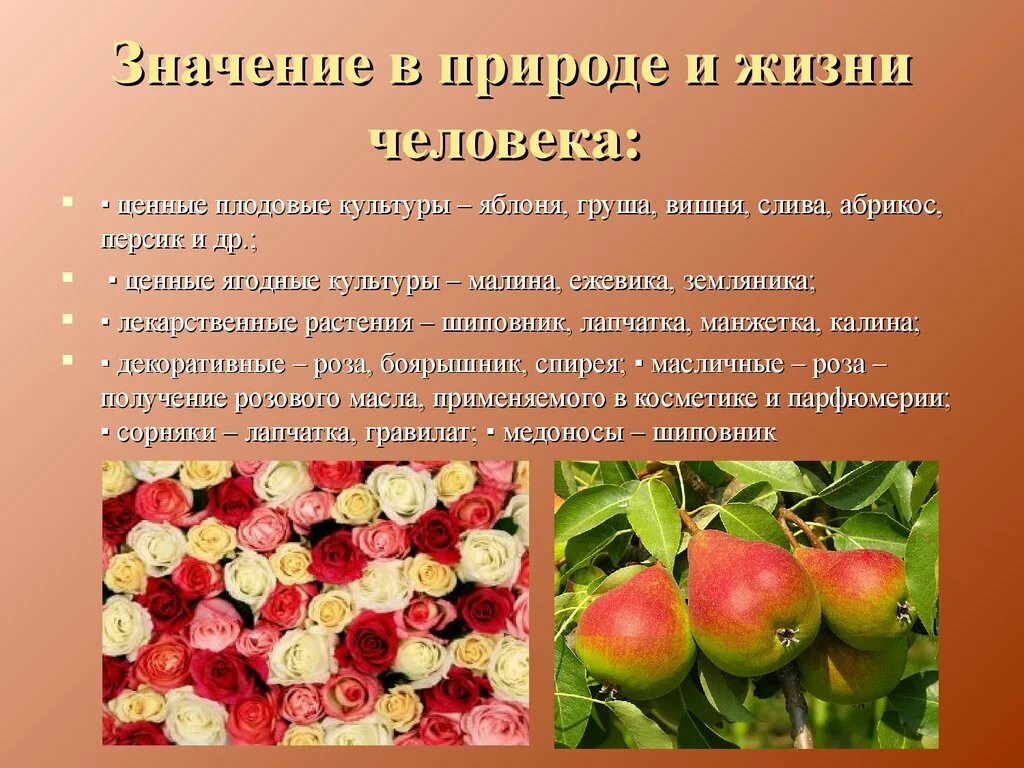 Значение плодовых. Значение цветковых в природе. Значение покрытосеменных растений. Плодовые культуры. Значение цветковых растений.