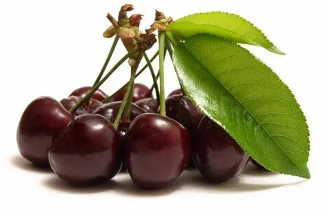 Black cherry