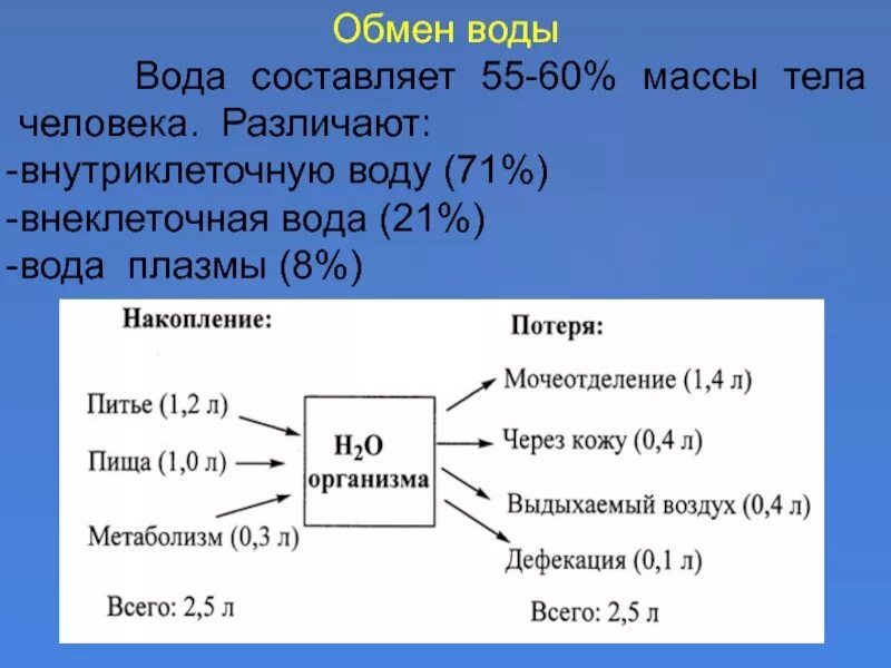 Водный обмен человека. Обмен воды в организме. Обмен воды в организме человека схема. Водный обмен в организме. Обмен Минеральных веществ в организме человека схема.