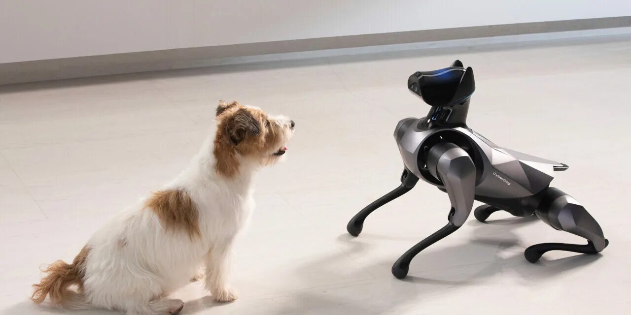 Cyberdog 2. Cyberdog xiaomi. Робособака xiaomi. Робот собака ксяоми. Робот собака xiaomi.