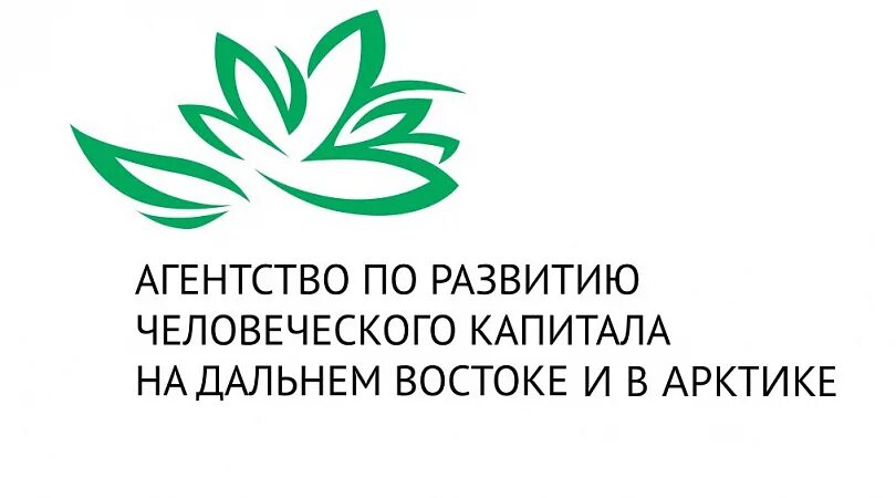 Агентство развития человеческого капитала дальнего востока. Эмблема агентство по развитию человеческого капитала. Корпорация развития дальнего востока и арктики лого. Корпорация развития дальнего востока лого. Агентство развития человеческого капитала дальнего востока.