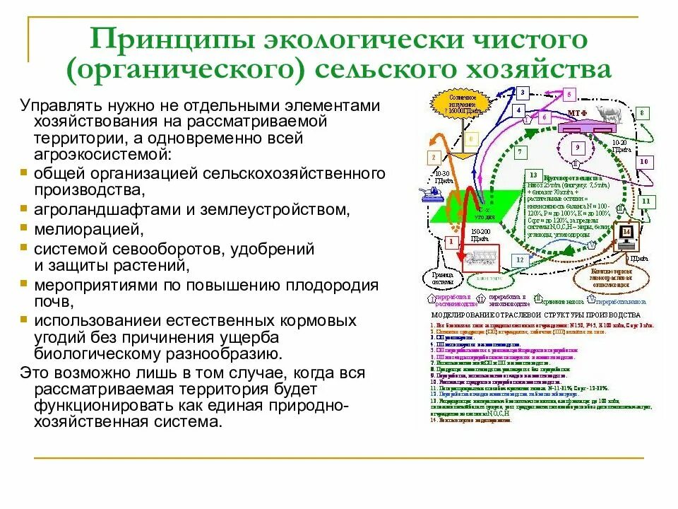 Методы органического сельского хозяйства. Принципы органического сельского хозяйства. 4 принципа органического сельского хозяйства. Преимущества органического сельского хозяйства. Продовольственная и сельскохозяйственная организация.