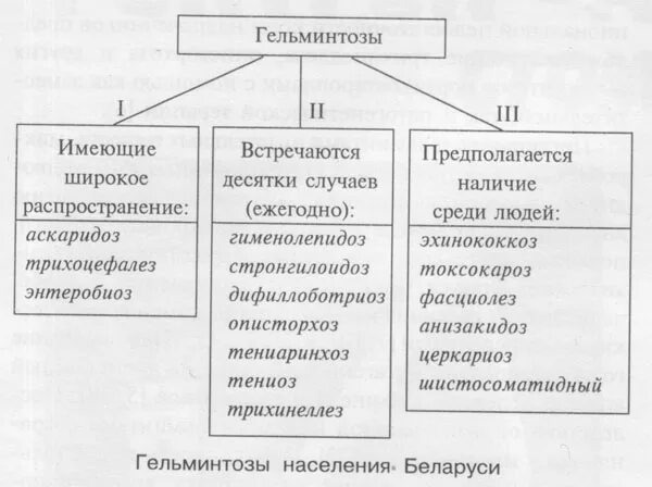 Гельминтозы таблица. Классификация гельминтов схема. гельминтозы классификация гельминтозов. классификация гельминтов таблица. биологическая классификация гельминтозов.