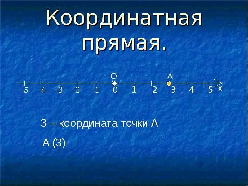 Прямая 5. Координатная прямая. Координаты на прямой. Элементы координатной прямой. Координатные прямые.