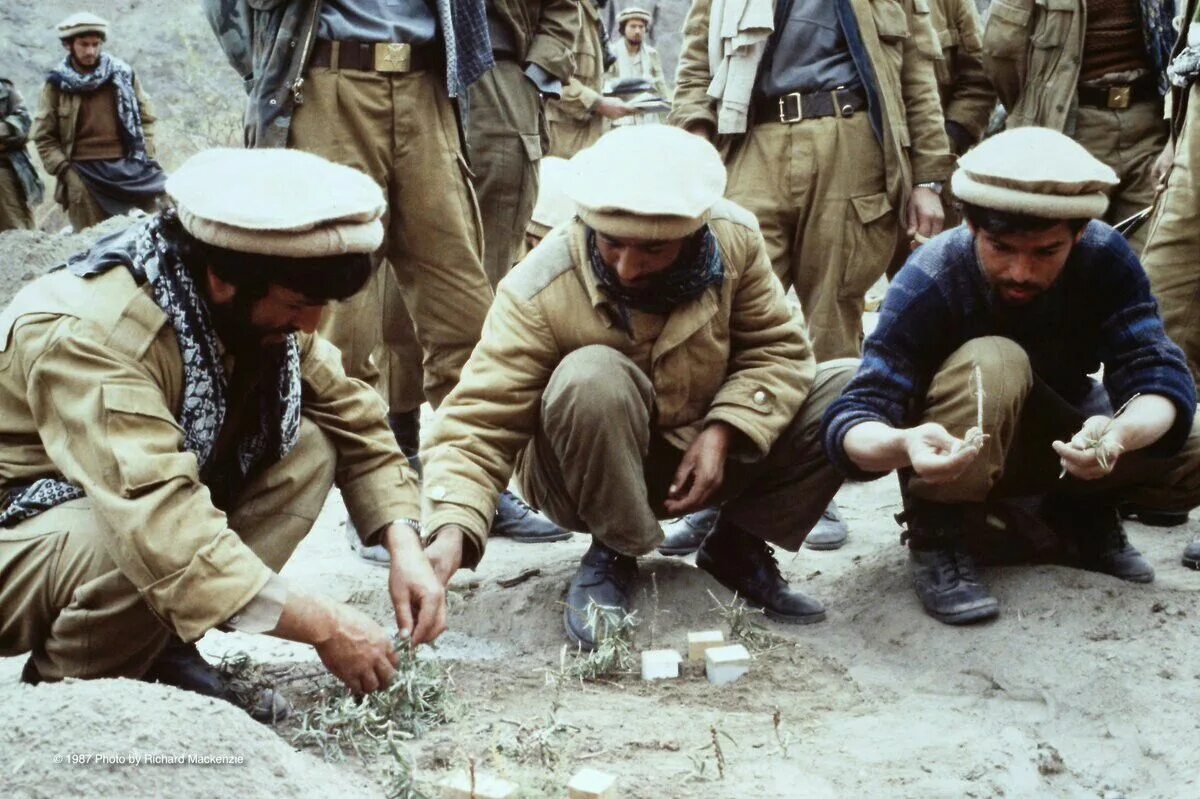 Моджахеды в афганистане 1979. Плен советского солдата афганистан. Пленные в афганистане 1979-1989 советские солдаты. Афганистан пленные. Афганистан пленные советские бойцы.
