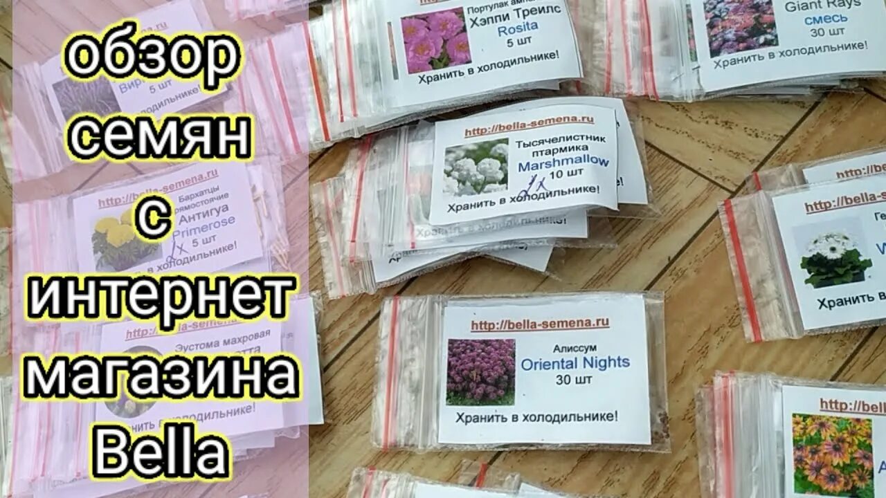 Профессиональные семена. Интернет магазин профессиональных семян.