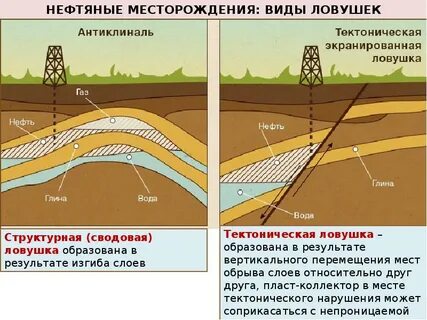 Пластовая нефть
