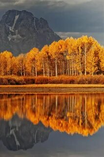 Осенние пейзажи природы