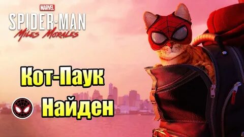 Кот человек паук