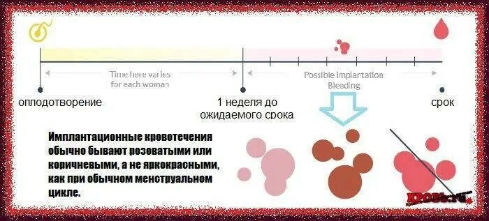 Месячные после 20 дней