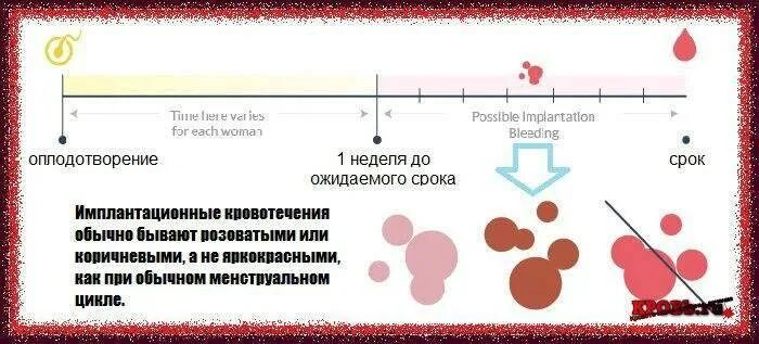 Как отличить месячные от маточного. Норма крови при имплантационном кровотечении. «Имплантацион кровотечение. Иплационое кровотечения. Инплантационноекровотечение.