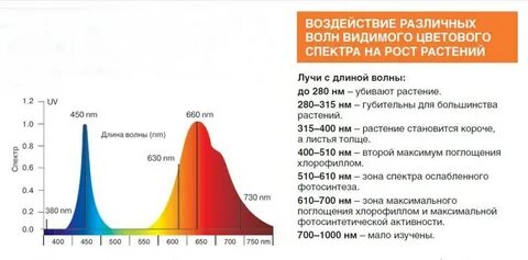 Освещение растений спектр